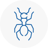 Ant Removals In Nailsea