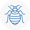 Bed Bug Extermination In Nailsea