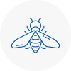 Bee Nest Removal Nailsea