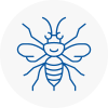 Nailsea Hornet Nest Removals