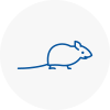 Mice Exterminators In Nailsea