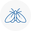Moth Control Specialists In Nailsea