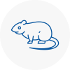 Rat Control Nailsea