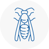 Nailsea Wasp Nest Removal